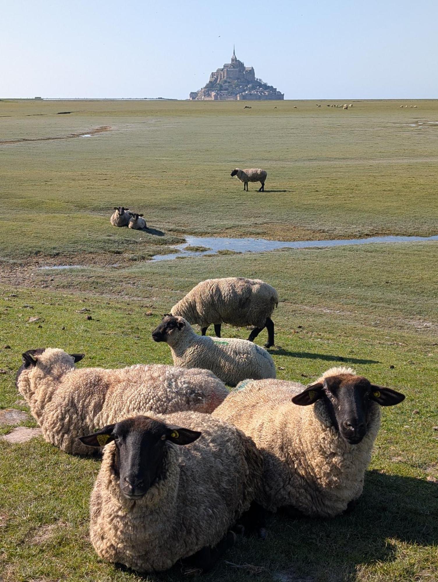Bed and Breakfast A L Ombre Du Mont Saint Michel Huisnes-sur-Mer Экстерьер фото