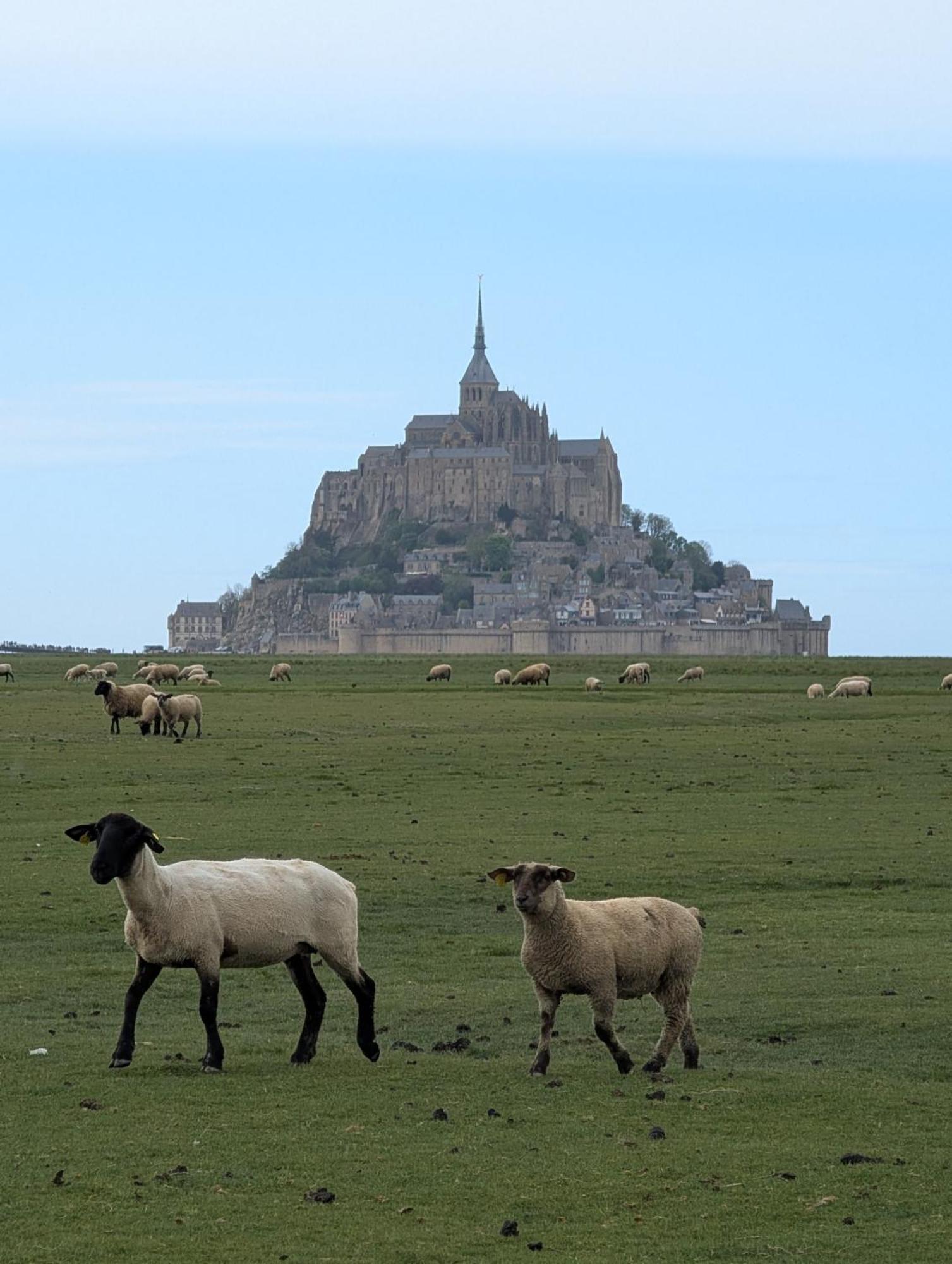 Bed and Breakfast A L Ombre Du Mont Saint Michel Huisnes-sur-Mer Экстерьер фото